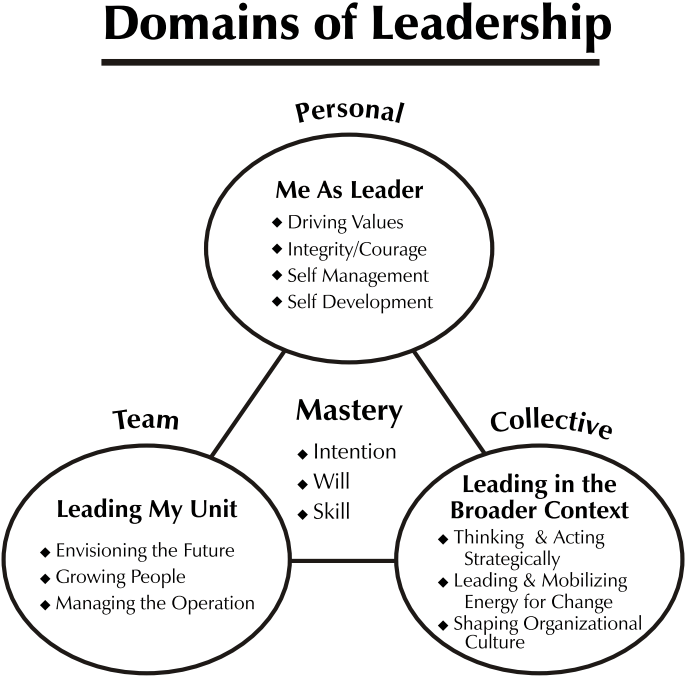 domains of leadership